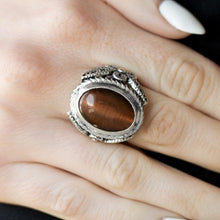 Load image into Gallery viewer, Paparazzi - Deep Freeze - Brown