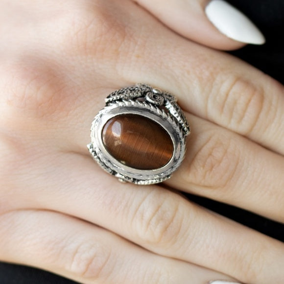 Paparazzi - Deep Freeze - Brown